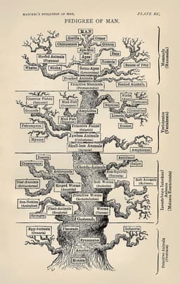 Évolution (biologie)